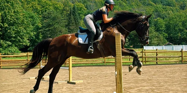 Carlie Fulcher jumping in the outdoor arena at Furlyn Farm