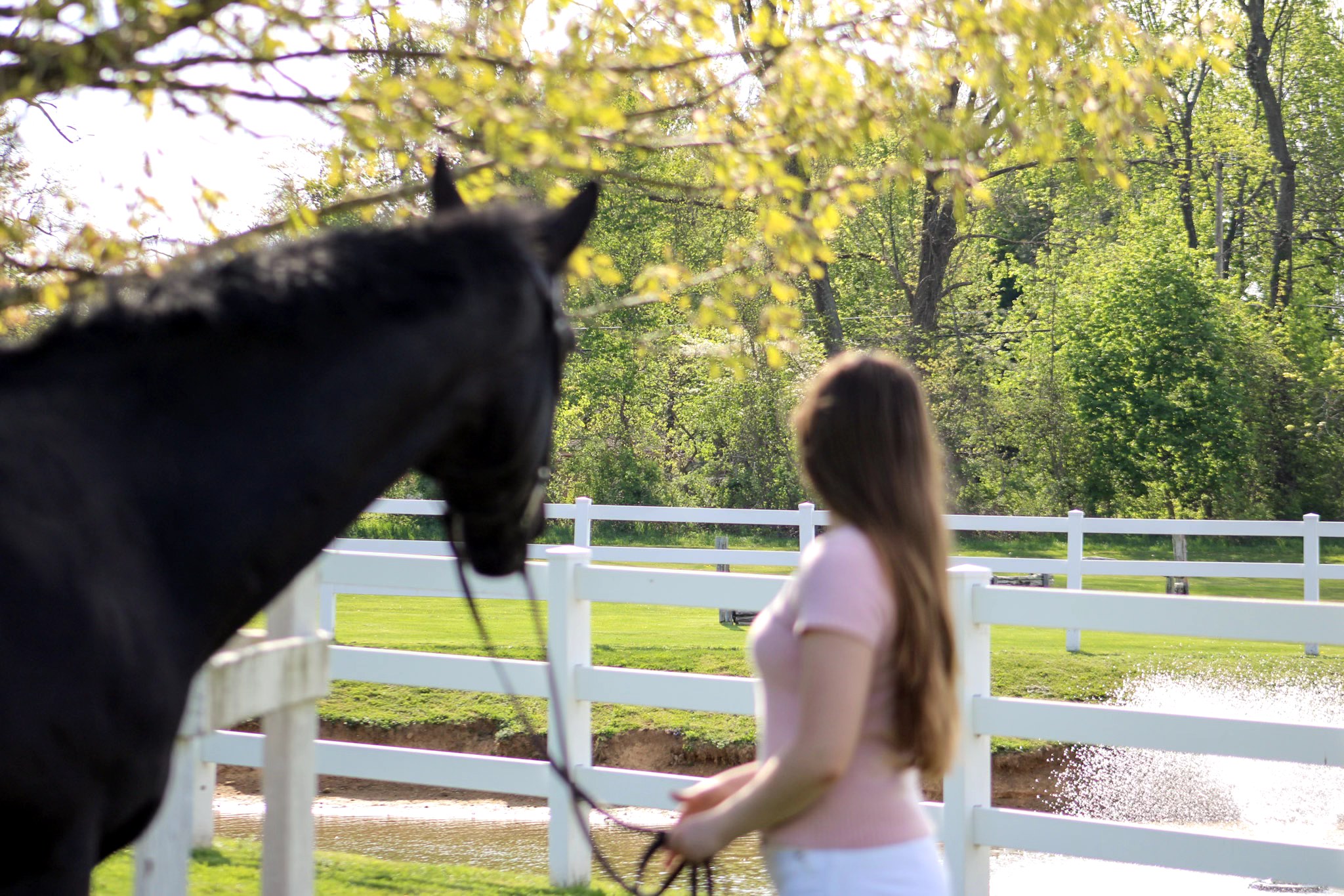 Stella Neace teaching at Furlyn Farm & Stables
