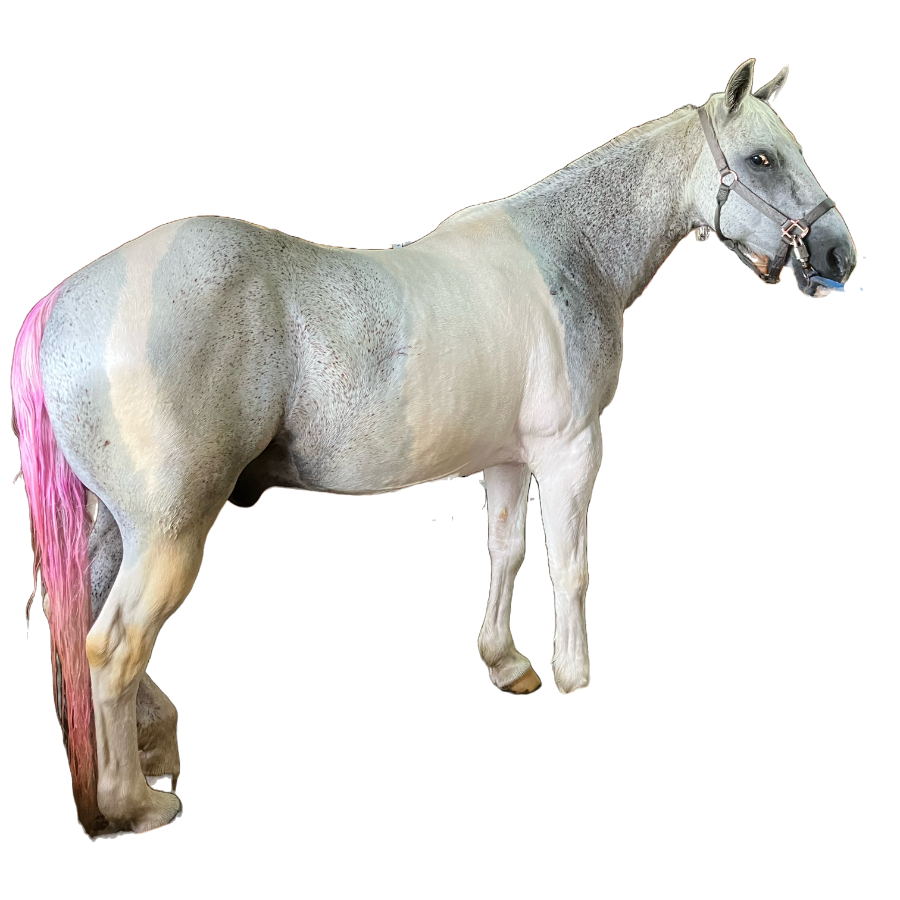 Tex